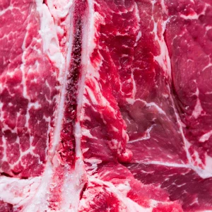 Alternative view of Fiorentina di Chianina