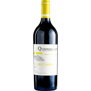 QuintoDecimo-Falanghina